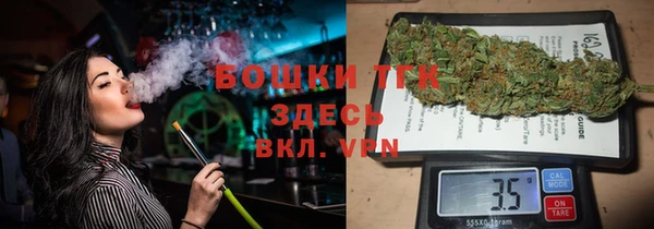 ALPHA PVP Бородино