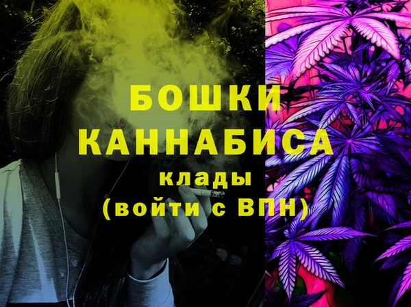 хмурый Богородицк