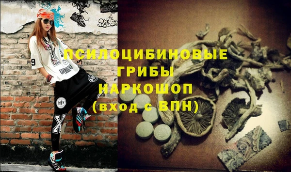 таблы Богданович